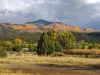 Early October Near Questa, New Mexico