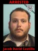 A New Mexico State Police mugshot of a man with short brown hair and a beard. The image features a black border with the word 'ARRESTED' in large red text at the top, a New Mexico State Police badge in the upper right corner, and the name 'Jacob David Castillo' in large red text at the bottom.