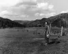 A 1955 New Mexico Tourism Bureau photograph shows a woman in the Red River Valley.