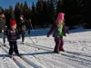 A family cross-country skis on groomed tracks through the pines at Enchanted Forest Cross Country Ski Area.