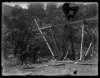 The underside of a wooden mining flume in the mountains near Red River in the 1910s.