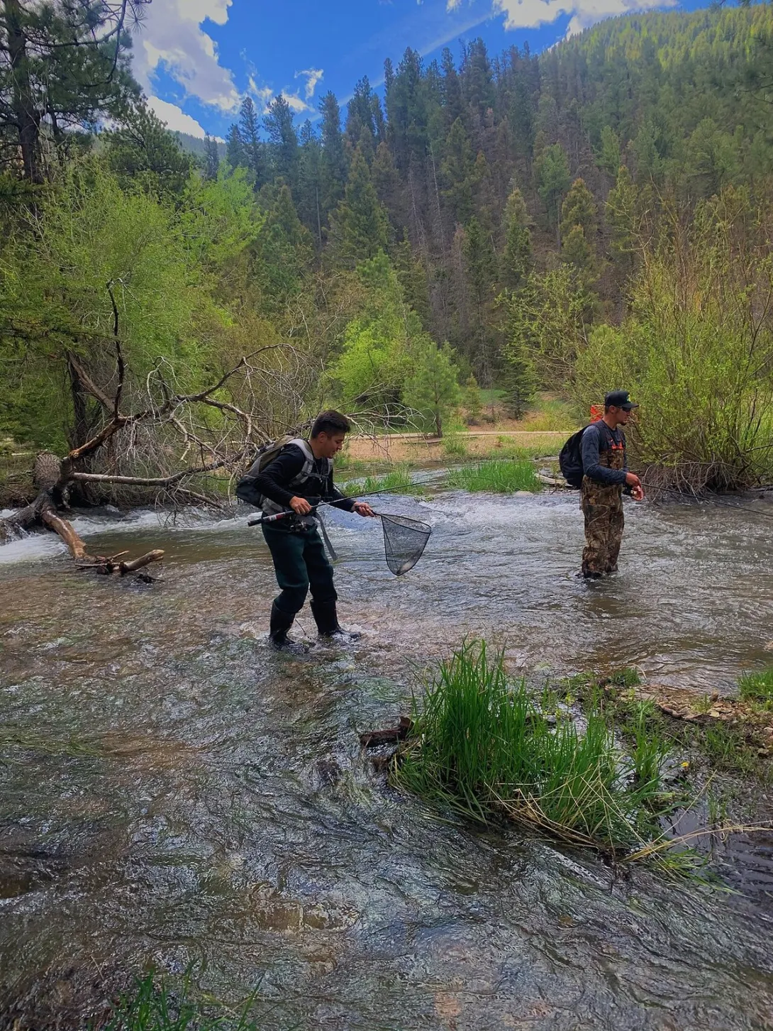 Two anglers fly fish in the shallow waters of the Red River in New Mexico.