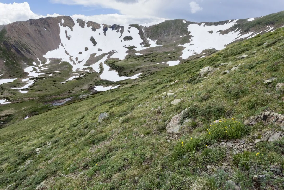 Alpine tundra and lingering snowfields between Wheeler Peak and Horseshoe Lake in the Wheeler Peak Wilderness.